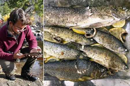 Looking for a New Lenten Recipe? Try Baked Trout