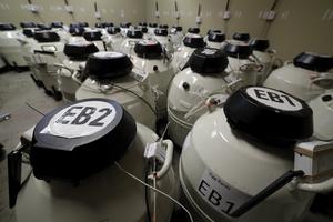 A room full of smaller cryo storage containers, each capable of holding approximately 150 egg samples immersed in liquid nitrogen, in one of the secured storage areas at the Aspire Houston Fertility Institute in vitro fertilization lab Tuesday, Feb. 27, 2024, in Houston. 