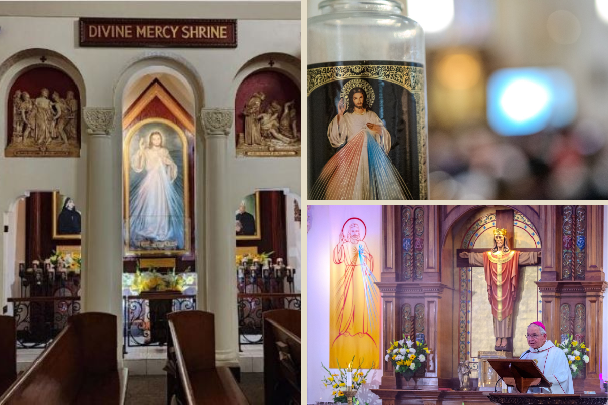 Sanctuary For Weary Souls Divine Mercy Comes To Hollywood National Sanctuary For Weary Souls Divine Mercy Comes To Hollywood National