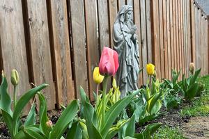Mary among the blooms