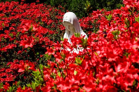 The Message That Changed My Life The Message That Changed My Life