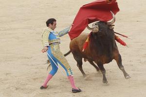 Bullfighting, which has existed since 711 A.D., is being denounced and labeled as animal cruelty by Father Terry Martin, a Catholic priest in England and an outspoken advocate for the welfare of animals. Last year Martin sent a joint letter with priests from Canada and France to Pope Francis calling on the pope to condemn the “torture and violent slaughter of innocent bulls.”