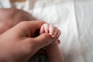 In Florida, abortion is currently illegal after six weeks of pregnancy with limited exceptions.