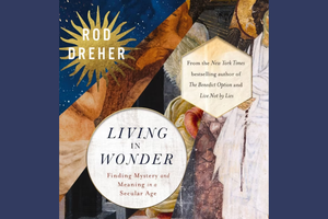 ‘Living in Wonder’ cover
