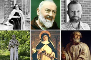 Among saintly favorites of the bishops interviewed are: Upper Row, L to R: St. Thérèse, St. Pio, Blessed Stanley Rother; Bottom Row, L to R: St. Joseph, St. Catherine of Siena and St. Peter