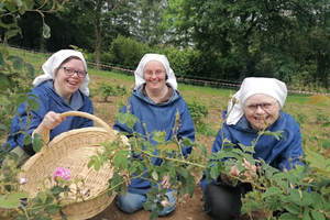 The Little Sisters, Disciples of the Lamb, enjoy their garden of Damascus roses. The roses are used for aroma in skin care and cosmetic products.