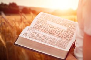 For Word on Fire, the Catholic media and publishing apostolate founded by Bishop Robert Barron of Winona-Rochester, Minnesota, the 'Bible boom' has been very tangible.