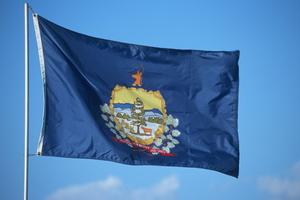 Vermont flag