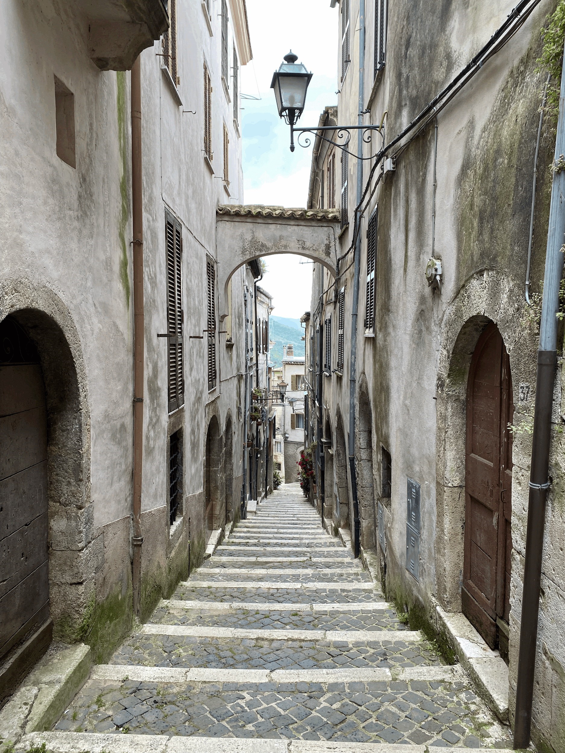 Robin Tagliaferri town