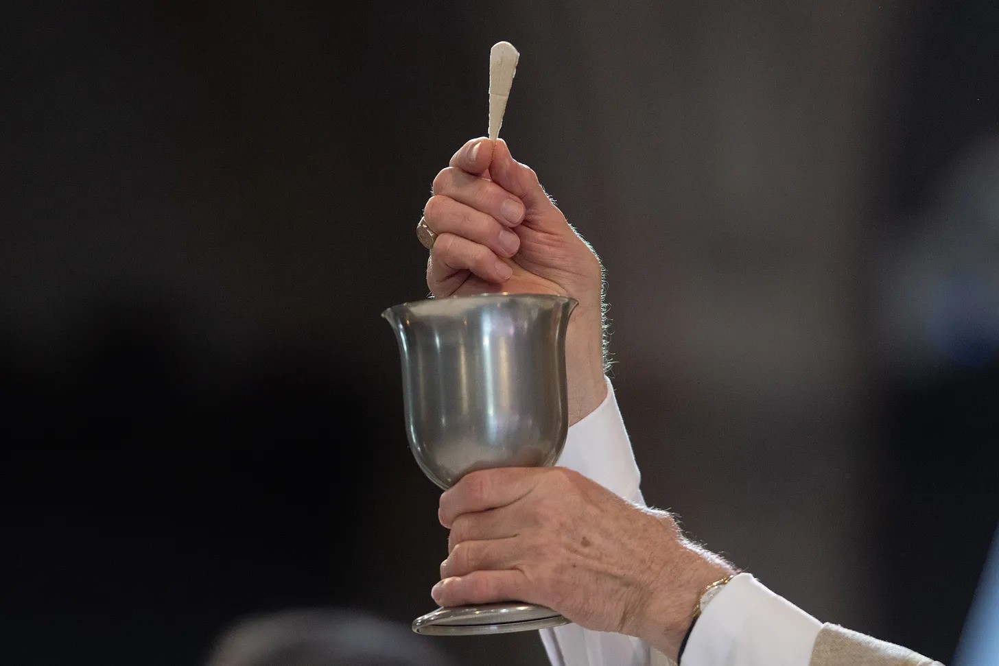 Body, blood, soul, divinity of our Lord and Savior Jesus Christ.