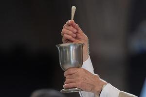 Body, Blood, Soul and Divinity of our Lord and Savior Jesus Christ