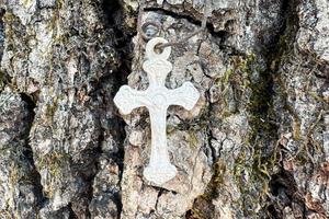 A small crucifix, affixed years ago during a family Rogation Day procession, still clings to the bark of a tree in the author’s yard.