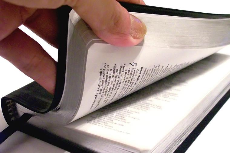 ‘Holy Bible’