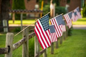 American flags line a sidewalk in rural America. 