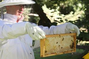 Beekeeping Bishop James Conley is the caretaker of more than 10,000 bees.