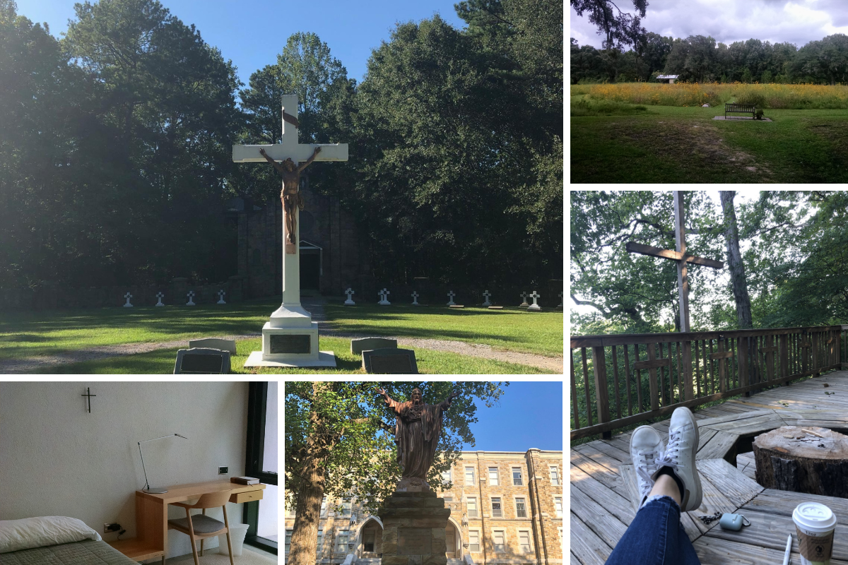 Gen Z retreats