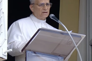 Pope Leo XIV appeared at a window of the Apostolic Palace in the Vatican to lead the Angelus on June 27.