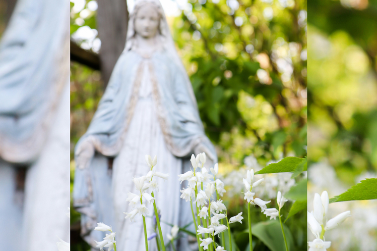 5 Simple and Sweet Ways to Celebrate the Blessed Mother&rsquo;s Birthday