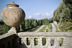 Visiting pilgrims to the Vatican Gardens at Castel Gandolfo during the 2025 Jubilee Year will have the opportunity to taste the produce of Borgo Laudato Si’s organic farm, where olive oil will be pressed from the estate’s 1,000 olive trees and a vineyard will produce wine using advanced, pesticide-free techniques.