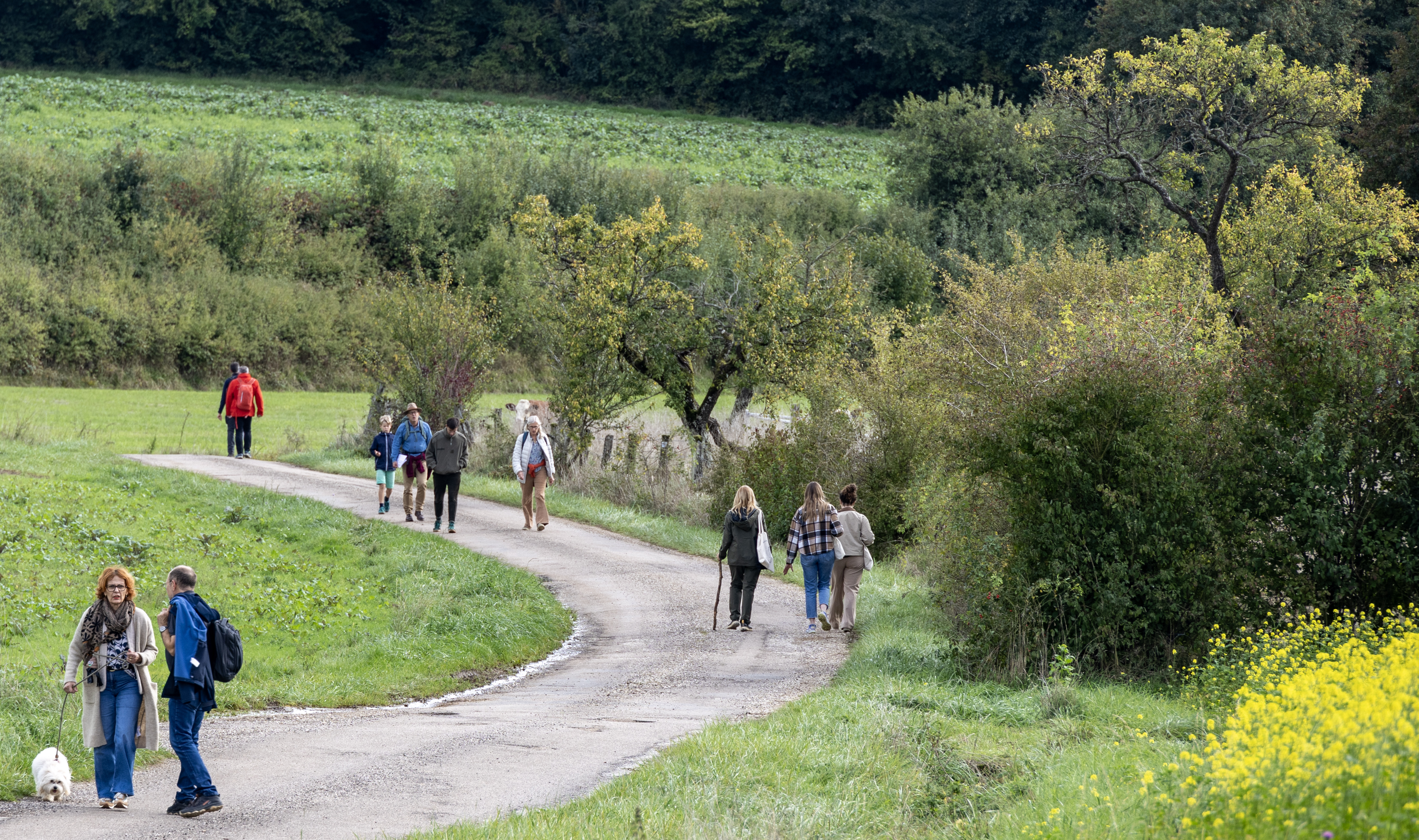 Pilgrims wind their way down the path together.