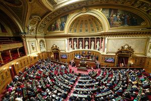 A view of the French Senate in Paris on Feb. 1, 2023. 