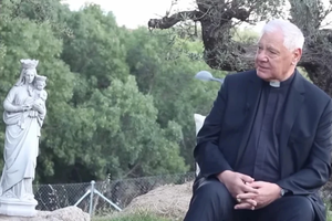 Cardinal Gerhard Müller.
