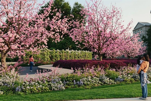 A 3D rendering of the Living Wall: Monument to the Unborn by the architect of the Living Wall, bringing to life the painted design by Arkansas artist Lakey Goff.