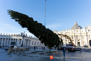 Workers erect the Vatican's 2025 Christmas tree in St. Peter's Square on Thursday, Nov. 27, 2025