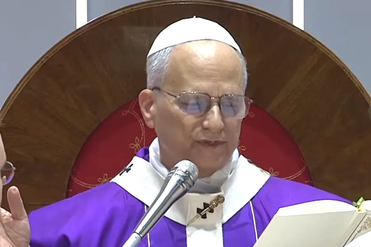 Pope Leo XIV, at Mass in Turkey, Calls for Catholic, Ecumenical and Interreligious Unity