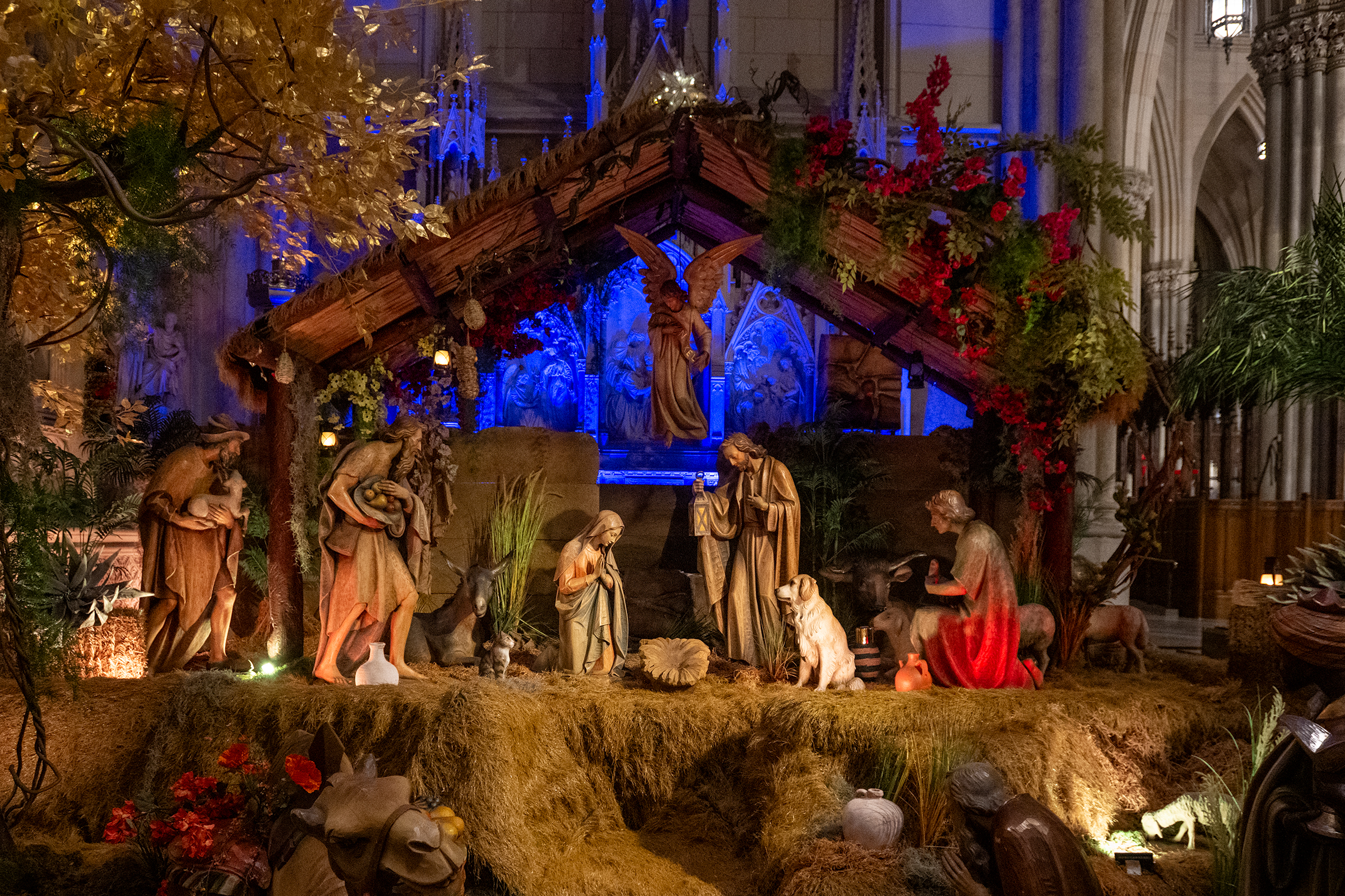 The Nativity at St. Patrick’s Cathedral in New York City.