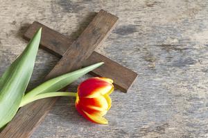 Cross. 
