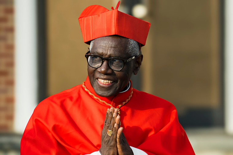 Le cardinal Robert Sarah sourit devant la paroisse Saint-Jean-Baptiste à Allentown, dans le New Jersey, à l'occasion de la solennité du Christ-Roi 2025.