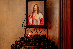 Sacred Heart of Jesus, I place all my trust in you.