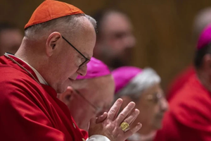 Cardinal Timothy Dolan, archbishop emeritus of New York. 