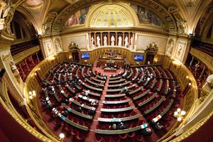 The French Senate, the upper house of the French Parliament. |