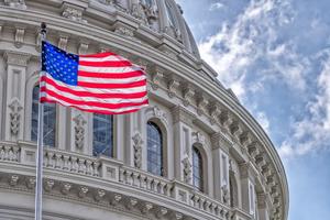 The U.S. Capitol in Washington