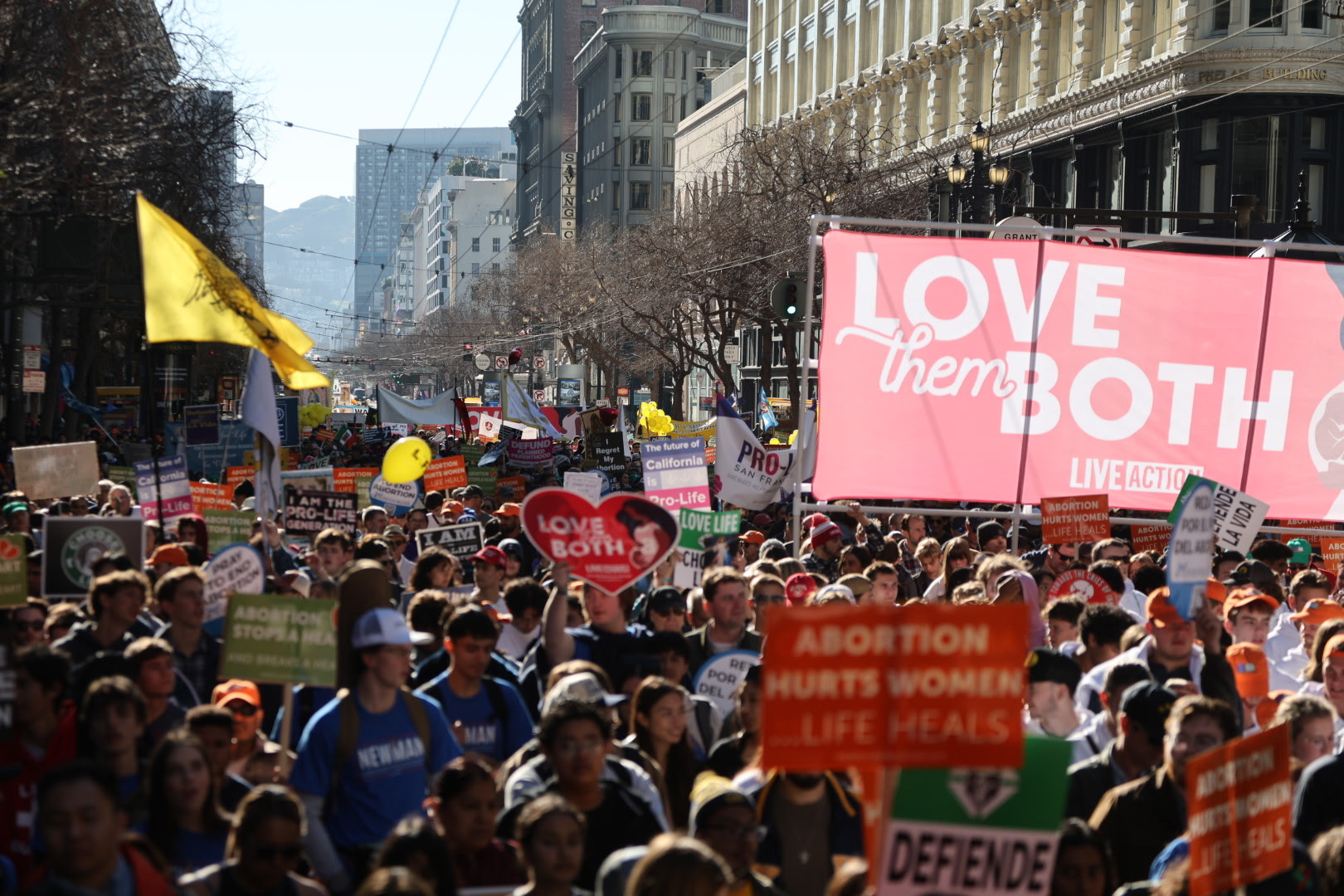 Walk for Life WC 2026