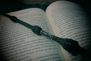 A Harry Potter book and wand replica.