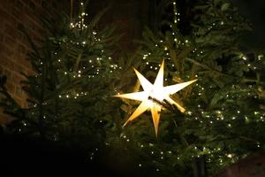 Star of Bethlehem hangs over the Christmas crib at the cathedral in Wrocław, Poland.