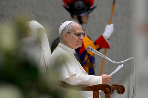 Pope Leo XIV addresses pilgrims at his weekly general audience at the Vatican on Feb. 11, 2026. 