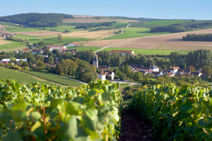 ‘Maison Drappier is in the debt of the Benedictines, who were the first to produce the drink that we know today as Champagne. Or, more specifically, they are in the debt of one particular Benedictine, Dom Perignon,’ explains Emily Stimpson Chapman in ‘Sacred Wine.’