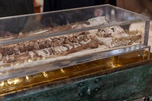 The bones of St. Francis are on display in Assisi, Italy, from Feb. 22 to March 22, 2026, for the 800th anniversary of the saint's death. Above, the relics are seen Feb. 21. 