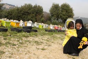 Sister Lea Lahoud uses her apiary as grounds for prayer.
