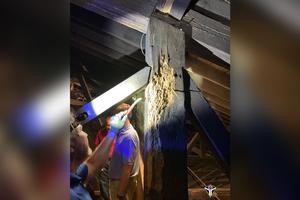 Workers inspect termite damage in the attic of the Cathedral-Basilica of the Immaculate Conception in Mobile, Alabama, in an undated photo. |