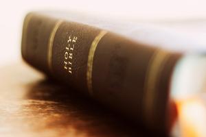 Holy Bible. 