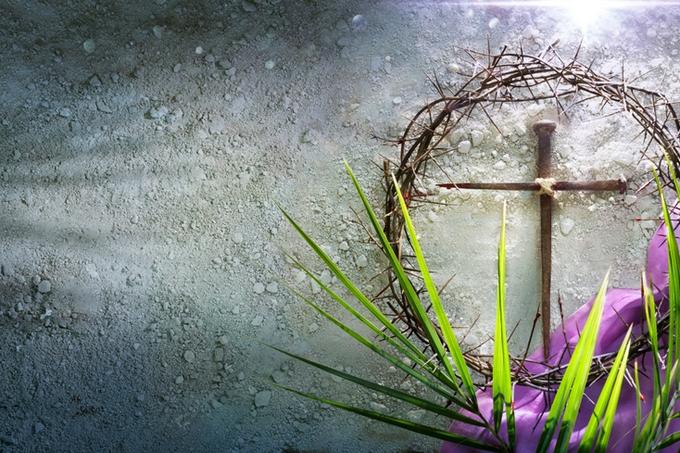 Sunday Guide to the Gospel for Palm Sunday 2026. 