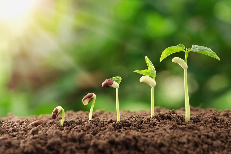 Sweet April, Cruel April: Finding Life Where the World Sees Death Sweet April, Cruel April: Finding Life Where the World Sees Death