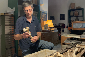 Meet the Pathologist Performing Autopsies on the Great Saints