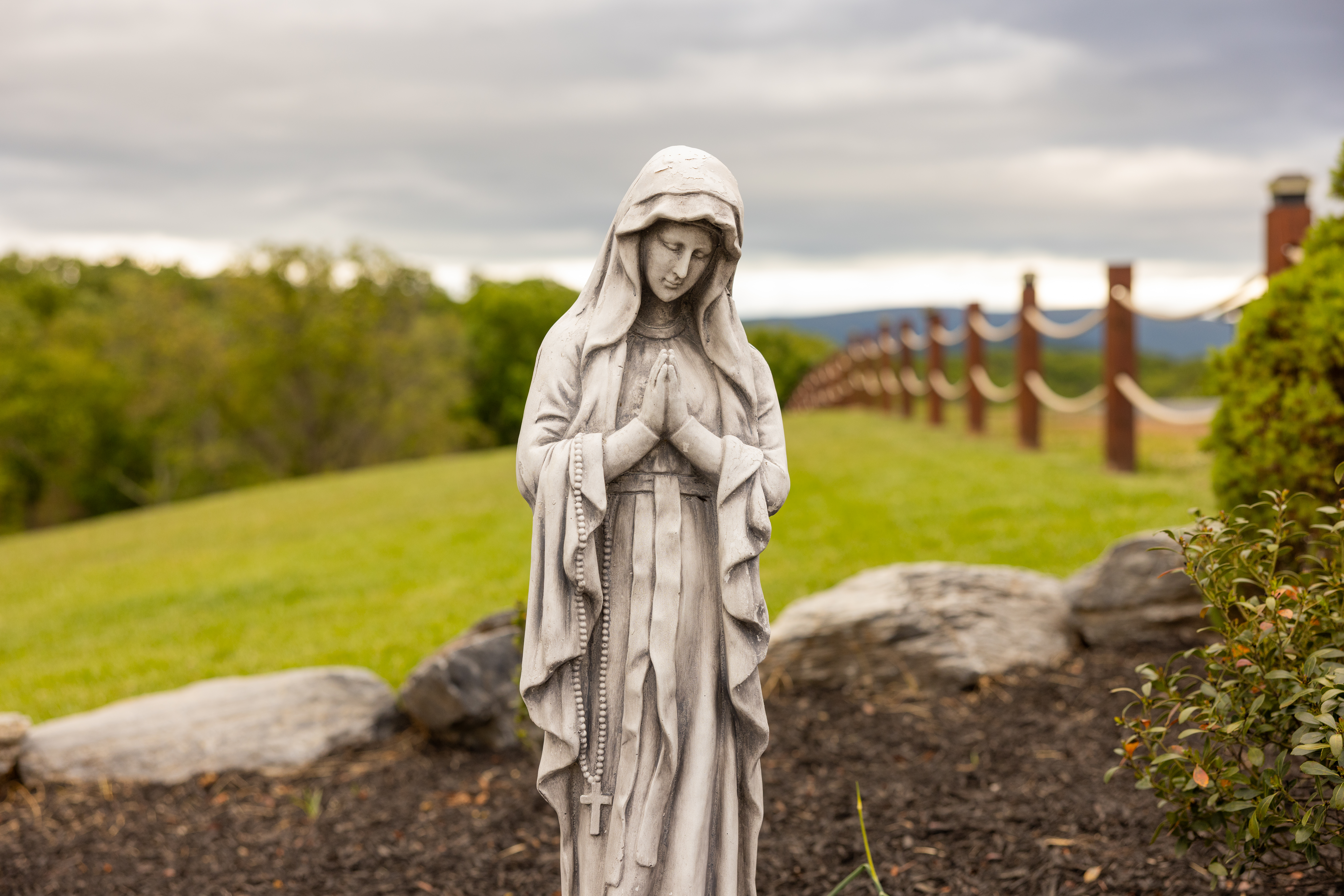 Reitano Vineyards