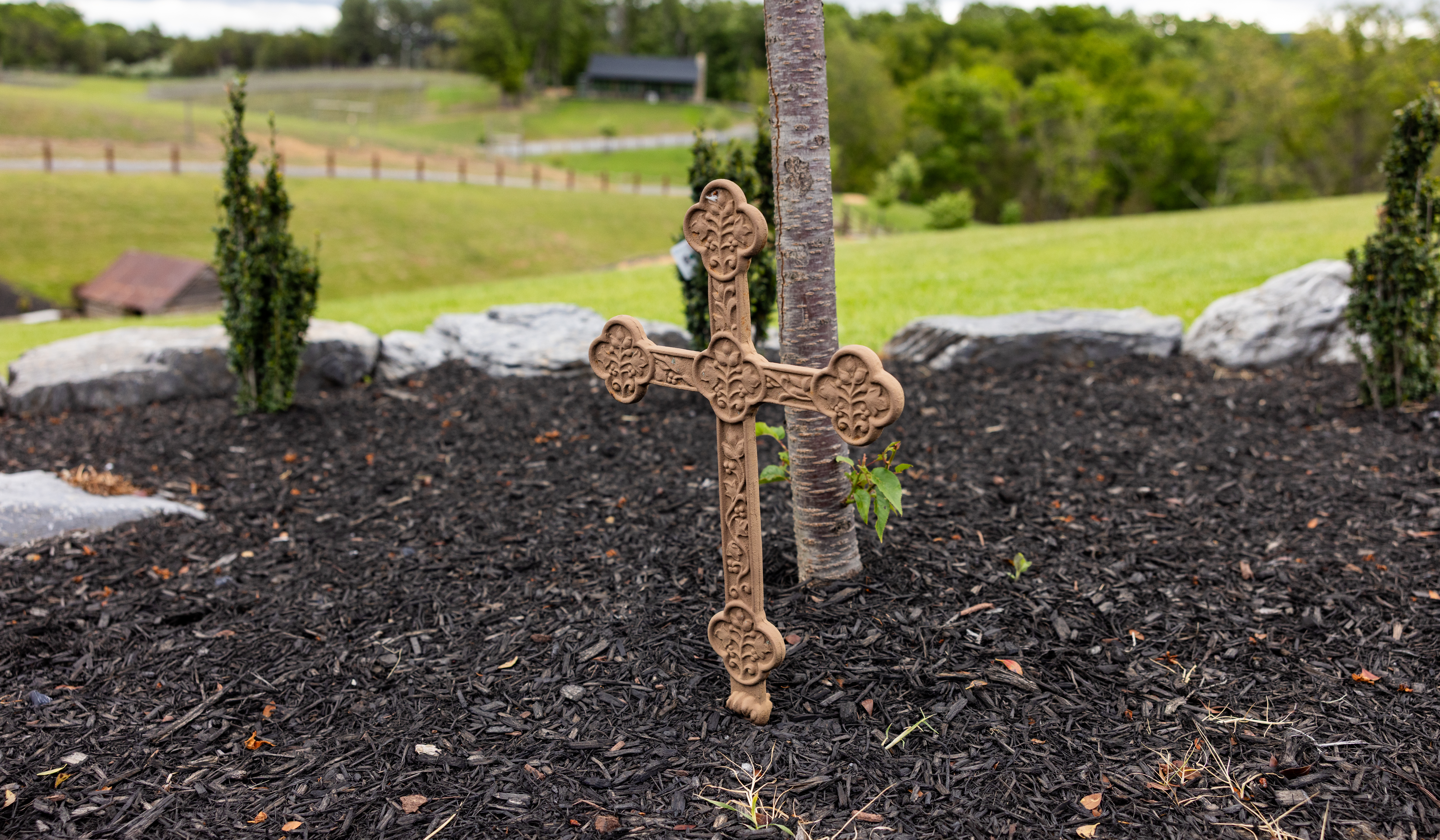 Reitano Vineyards